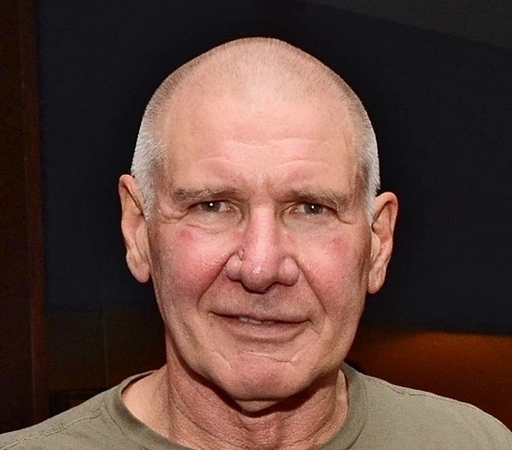 It’s Official, Harrison Ford Looks Old » BagOfNothing.com